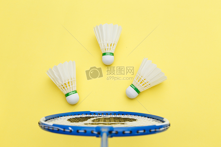 耀眼的明星 耀眼的明星